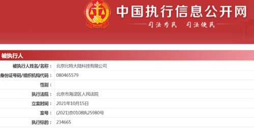比特大陸新增被執(zhí)行人信息 執(zhí)行標(biāo)的超23萬元，牽涉計(jì)算機(jī)軟硬件技術(shù)開發(fā)