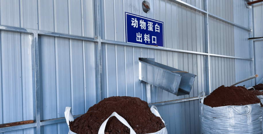 達拉特旗構建“五位一體”病死畜禽無害化處理模式，推動生物有機肥料研發保障食品與生態安全