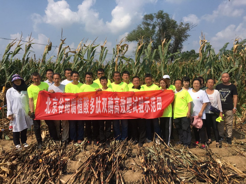 綠色智造賦能現(xiàn)代農(nóng)業(yè)——綠得利5800噸煙草專用肥發(fā)往山東全過程及生物有機(jī)肥研發(fā)解析