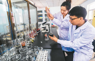 河北 新型有機(jī)肥助力農(nóng)業(yè)增產(chǎn)，生物質(zhì)能技術(shù)引領(lǐng)綠色未來